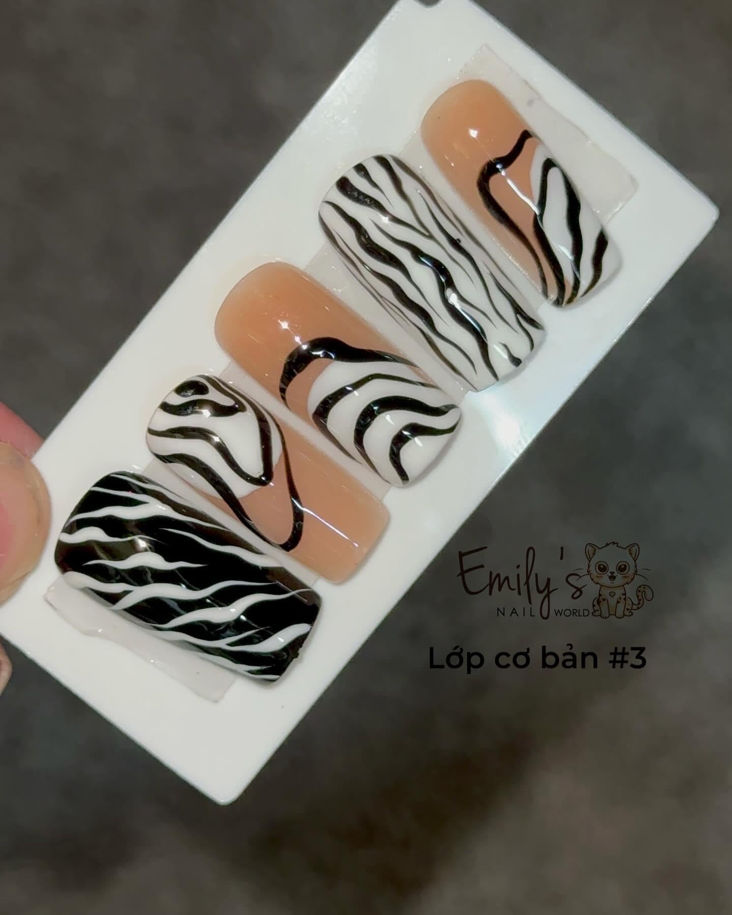 BASIC DESIGN CLASSES FOR SALON STANDARD BEGINNERS JAN 2024