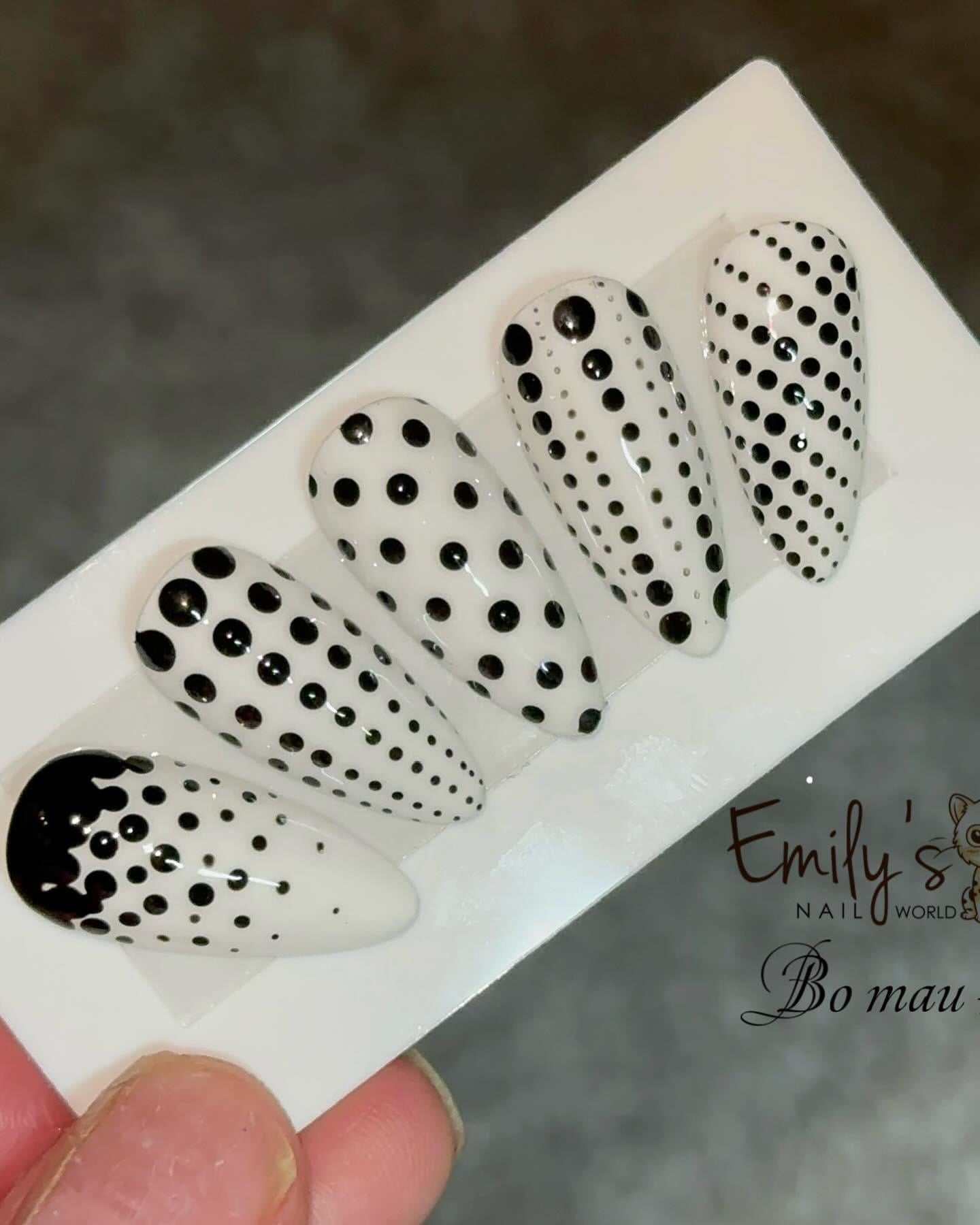 BASIC DESIGN CLASSES FOR SALON STANDARD BEGINNERS JAN 2024