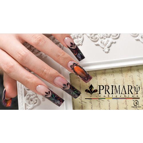 Primary Color Acrylic (12g)