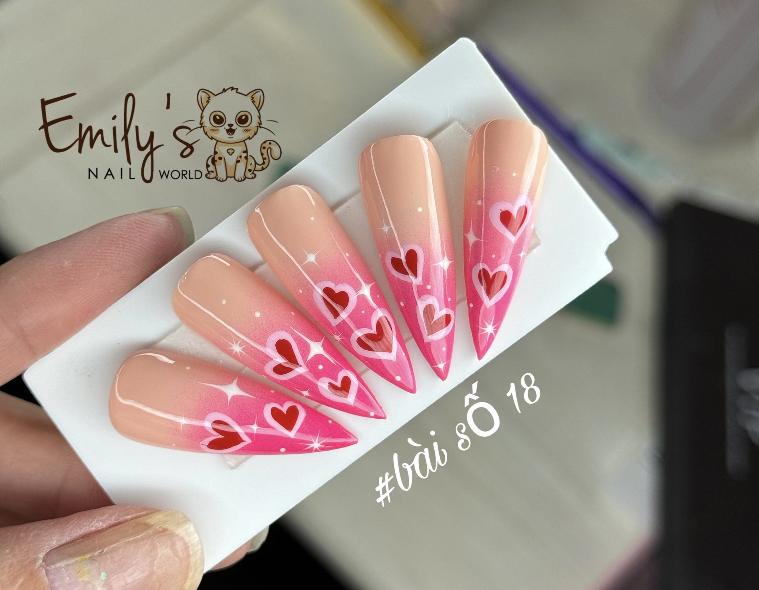 BASIC DESIGN CLASSES FOR SALON STANDARD BEGINNERS JAN 2024