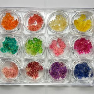 Dried Flower Nail Art